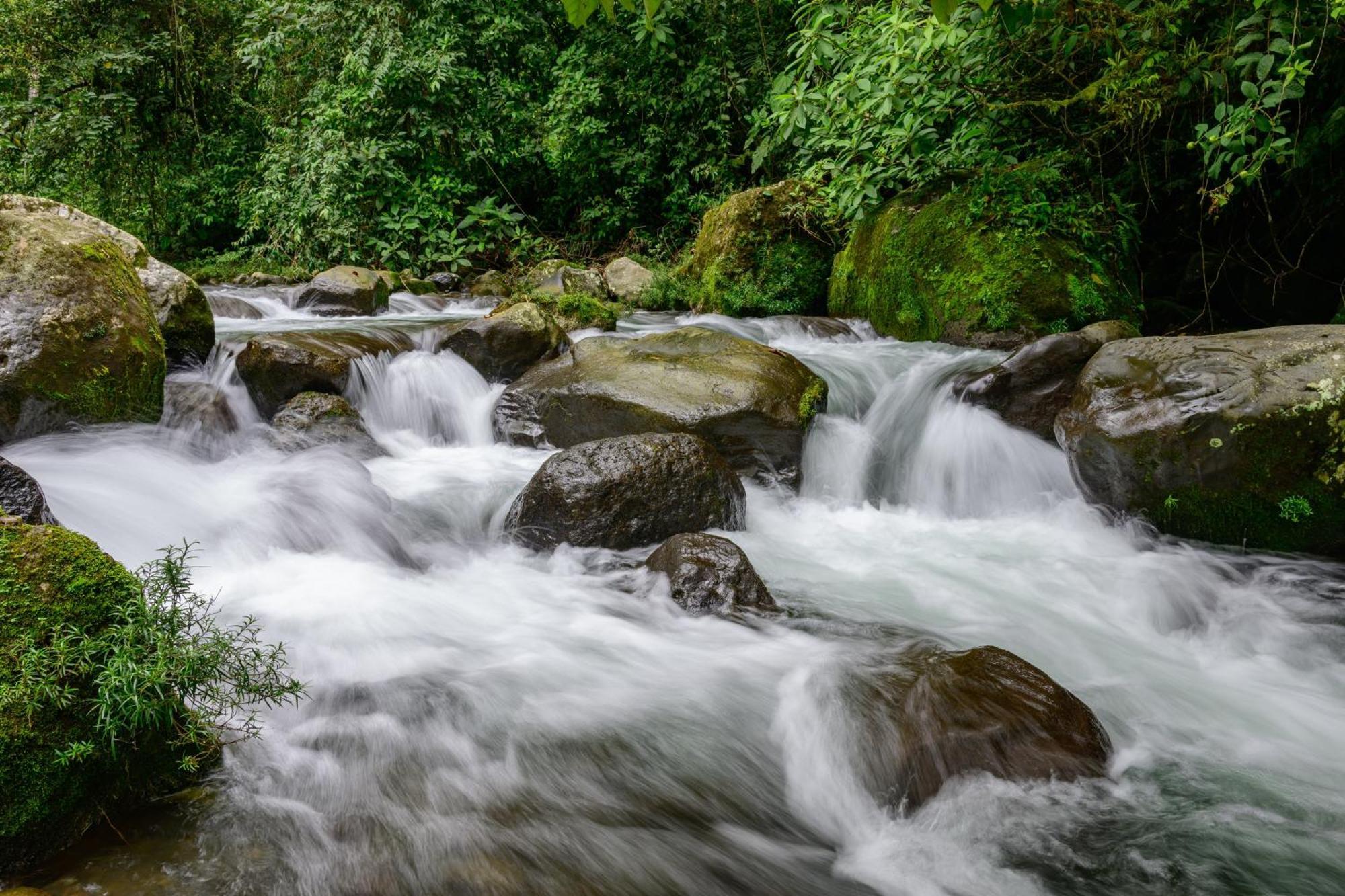 Hotel Rivel - Restaurant & Nature Retreat ตูร์เรียลบา ภายนอก รูปภาพ