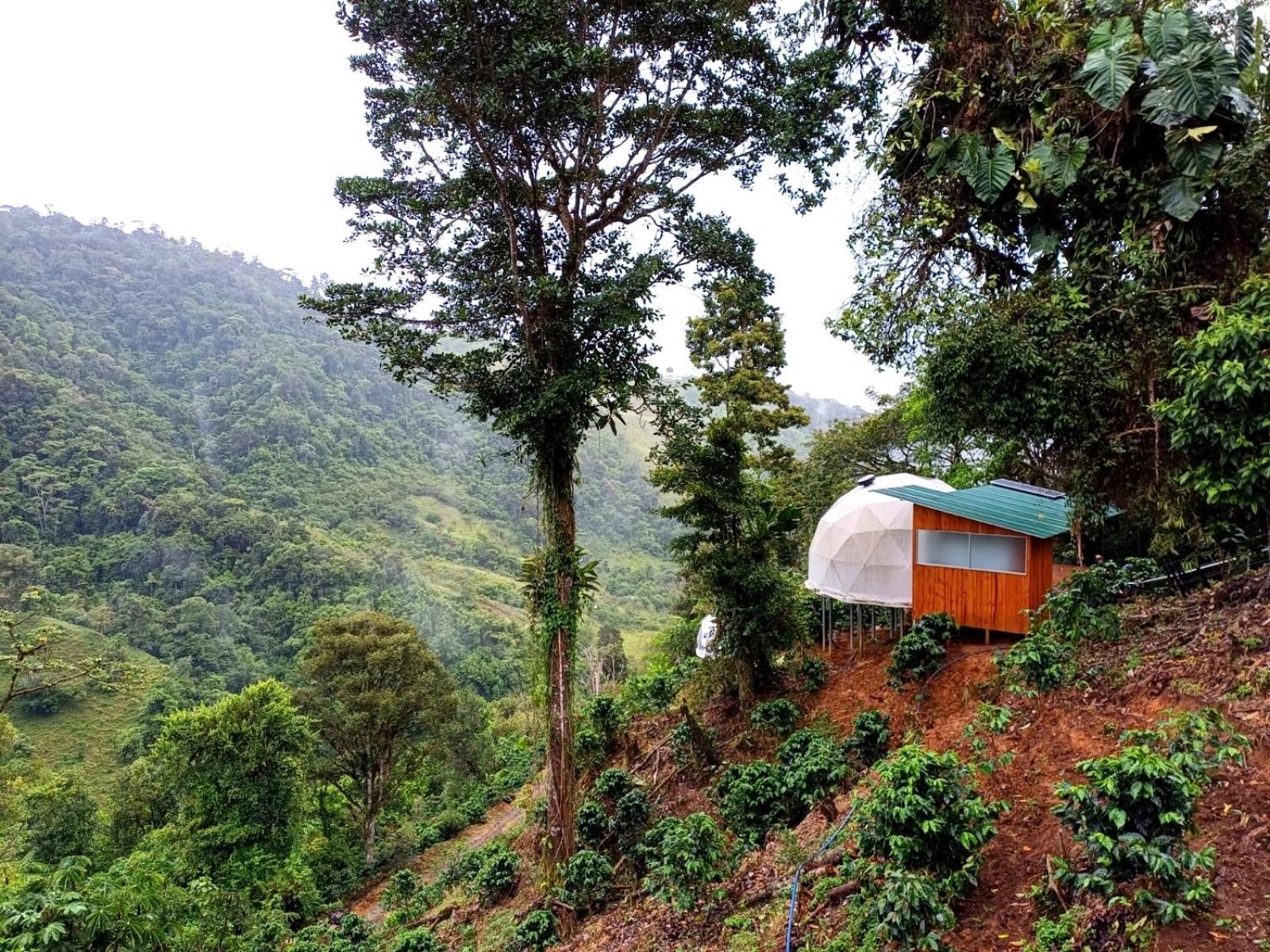 Hotel Rivel - Restaurant & Nature Retreat ตูร์เรียลบา ภายนอก รูปภาพ