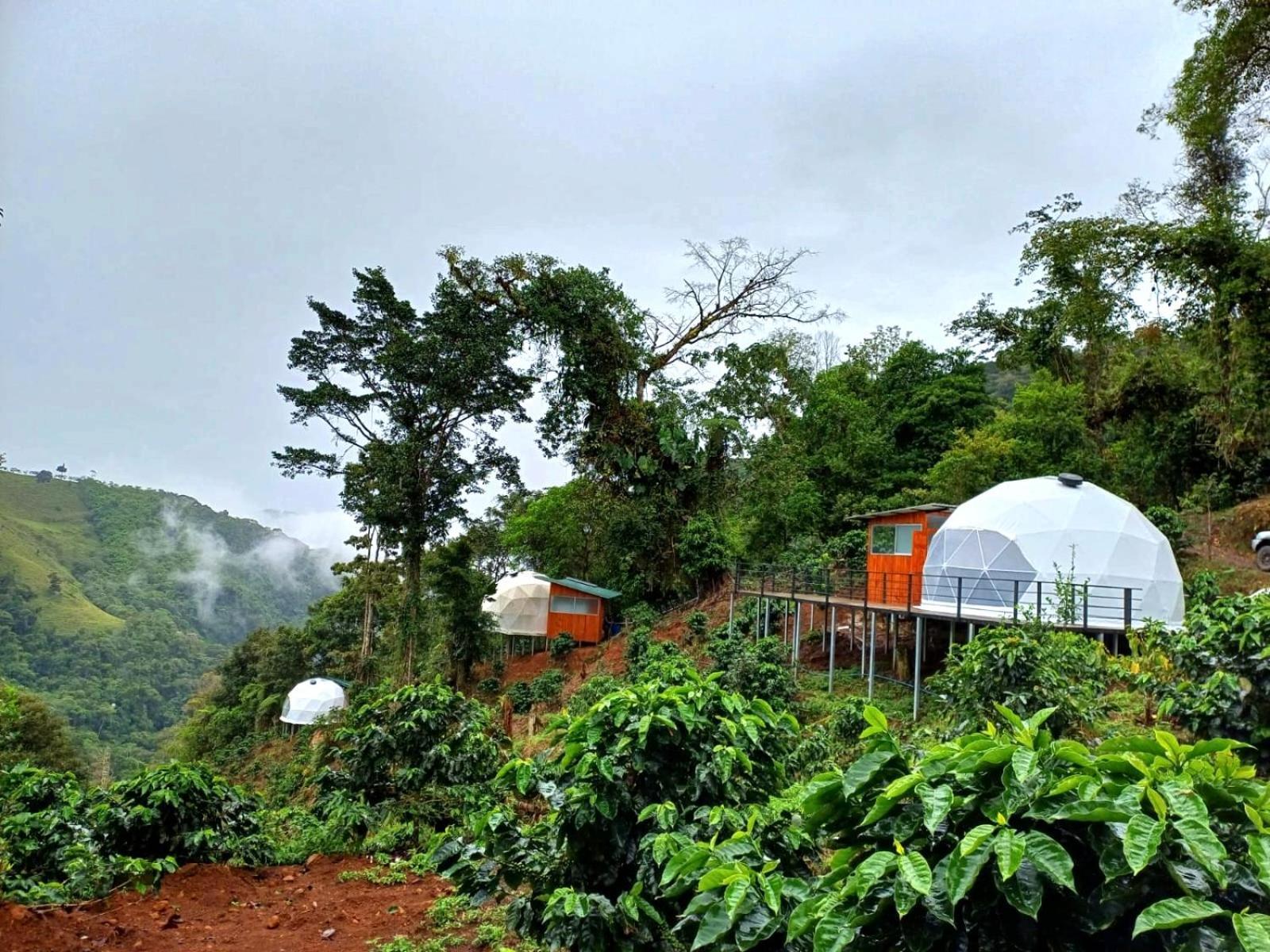 Hotel Rivel - Restaurant & Nature Retreat ตูร์เรียลบา ภายนอก รูปภาพ